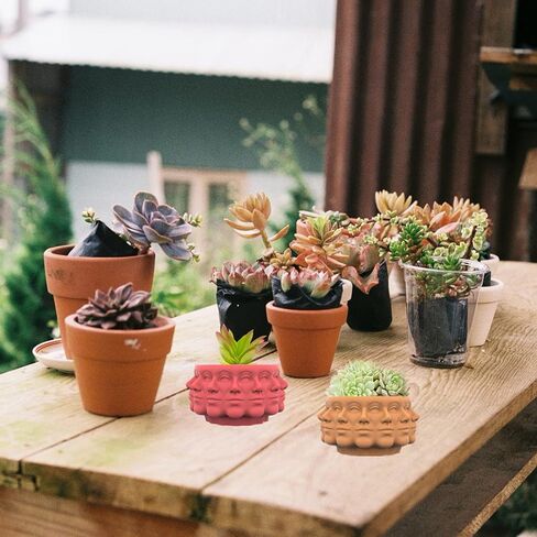 قالب سيليكون لوعاء الزهور متعدد الوجوه، قوالب راتنجات الإيبوكسي المتداخلة على شكل وجه، حامل قلم أسمنتي لوعاء النباتات العصارية، مزهرية رأس ووجه لتزيين المنزل in Kuwait