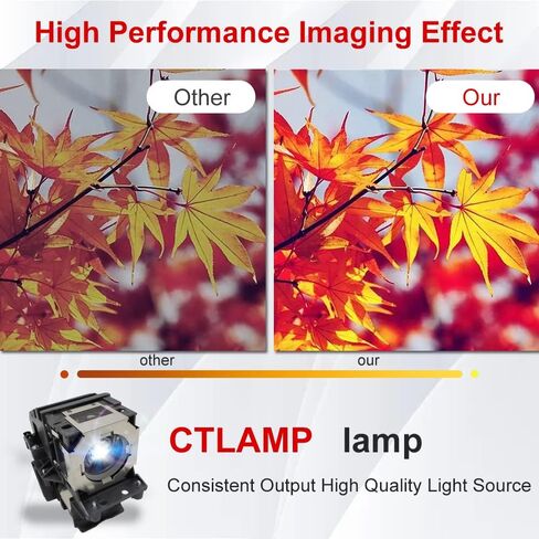 A+ Quality RS-LP11 / 2141C001BA Replacement Projector Lamp Bulb with Housing Compatible with Canon XEED WUX6500 WUX6500M in Kuwait