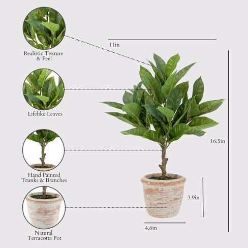 Faux Rosemary Plant & Olive Topiary ، محددات داخلية مصطنعة من 2 ، يعزز التصميم الداخلي ، ويفعل الأوراق التي تشبه الحياة مظهرًا طبيعيًا واقعيًا ، وعاء زارع رمادي مشمل in Kuwait