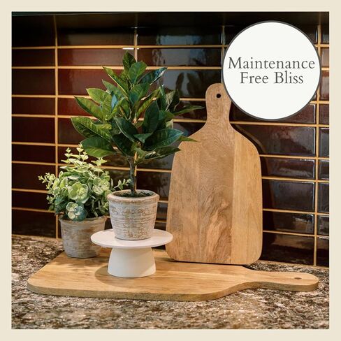 Faux Rosemary Plant & Olive Topiary ، محددات داخلية مصطنعة من 2 ، يعزز التصميم الداخلي ، ويفعل الأوراق التي تشبه الحياة مظهرًا طبيعيًا واقعيًا ، وعاء زارع رمادي مشمل in Kuwait
