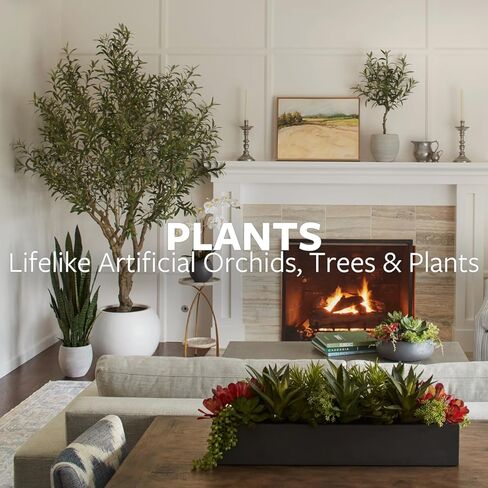 Faux Rosemary Plant & Olive Topiary ، محددات داخلية مصطنعة من 2 ، يعزز التصميم الداخلي ، ويفعل الأوراق التي تشبه الحياة مظهرًا طبيعيًا واقعيًا ، وعاء زارع رمادي مشمل in Kuwait