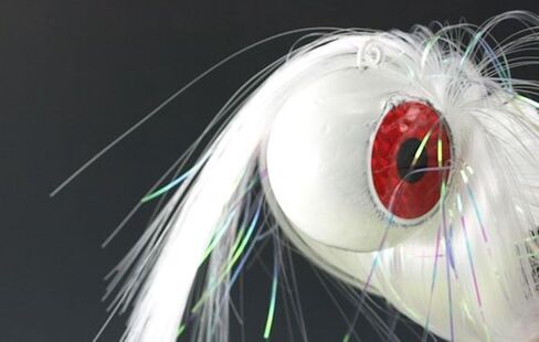 Blue Water Candy - Rock Fish Candy 24 oz & 6 oz Mojo Lures Loaded with 9-Inch Swimbait Shad Bodies Tandem Parachute Rigged & Ready (White) in Kuwait