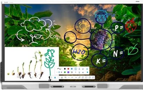 شاشة عرض تفاعلية من سلسلة Board RX065 مع معدل الذكاء. يتضمن اشتراكًا لمدة 3 سنوات في SMART Remote Management in Kuwait