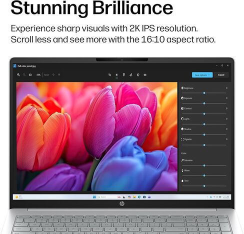كمبيوتر محمول HP OmniBook 3 مقاس 16 بوصة بشاشة تعمل باللمس WUXGA | معالج AMD Ryzen 5 40 | Copilot AI | رسومات AMD Radeon 610M | فضي | ذاكرة وصول عشوائي (RAM) سعة 16 جيجابايت DDR5 | محرك أقراص SSD سعة 512 جيجابايت | Windows 11 Home | حزمة مع قلم ستايلس in Kuwait