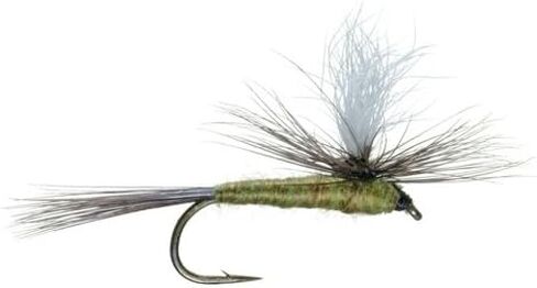 The Fly Fishing Place Parachute Blue Winged Olive BWO تشكيلة سمك السلمون المرقط الجاف - مجموعة من 12 ذبابة مقاس 14، 16، 18، 20 - دزينة واحدة in Kuwait