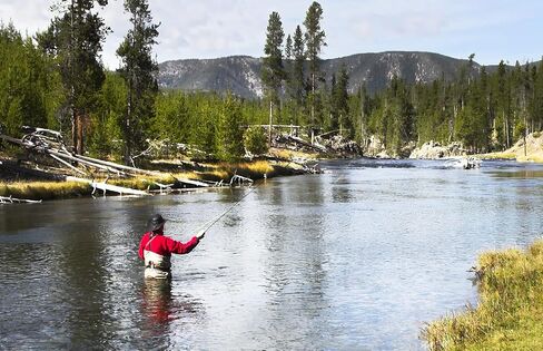The Fly Fishing Place Parachute Blue Winged Olive BWO تشكيلة سمك السلمون المرقط الجاف - مجموعة من 12 ذبابة مقاس 14، 16، 18، 20 - دزينة واحدة in Kuwait
