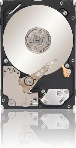Seagate Savvio 10K.5 300 GB 10000 RPM SAS 6-Gb/S 64MB Cache 2.5-Inch Internal Bare Drive (ST9300605SS) (Renewed) in Kuwait