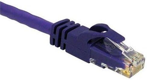 C2G - C2G 5FT CAT6 SNAGLESS UNSHIELDED (UTP) NETWORK PATCH CABLE - PURPLE in Kuwait