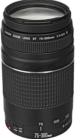 Canon EOS R7 Mirrorless Camera RF-S 18-150mm is STM Lens + EF 75-300mm III Lens + Accessories Included: 2X 64GB Memory Cards, LED Video Light, Case & More (Renewed) in Kuwait