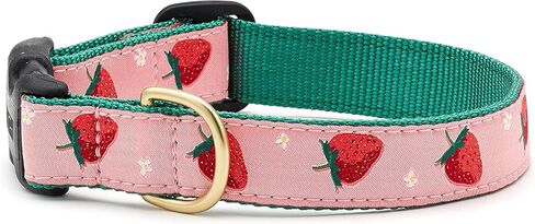 Up Country Strawberry Fields Pattern (Strawberry Fields Dog Collar, Large (15 to 21 inches) 1 inch Wide Width) in Saudi Arabia