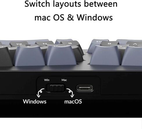 Keychron Q8 Wired Custom Mechanical Keyboard with Knob, 65% Alice Layout QMK/VIA Programmable, Hot-swappable Gateron Baby Raccoon Linear Switch, Double Gasket Compatible with Mac Windows Linux (Black) in Kuwait