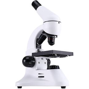 2000x Students Can Carry It with an Optical Microscope in Kuwait