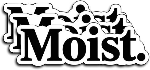 (3Pcs) Moist Stickers Funny Sarcastic Quote Humor Motivational Inspirational Gifts Waterproof Vinyl Decals for Kindle Water Bottle Bumper Car Hard Hat Phone Laptop 3x1 in Kuwait
