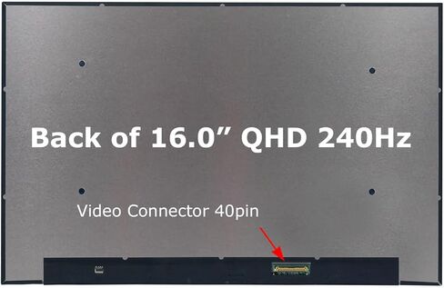 استبدال الشاشة الجديدة SCREENARAMA لشاشة BOE NE160QDM-NZ2 V8.0 V8.1 (240 هرتز QHD 2560x1600 40pin) شاشة IPS LCD LED مع أدوات وشريط in Kuwait