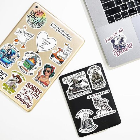 200 PCS Holographic, Waterproof Vinyl Decals for Laptop, Water Bottle, Phone, Journal, Scrapbook, Bumper, Skateboard, Luggage, No Repeats in Kuwait