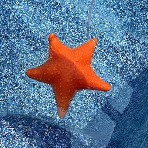 XY-WQ Floating Pool Thermometer, Large Size Easy Read for Water Temperature with String for Outdoor and Indoor Swimming Pools and Spas (Starfish) in Saudi Arabia