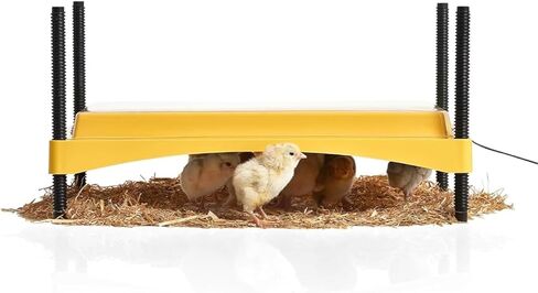 Brinsea Products Ecoglow 20 Safety 600 Brooder for Chicks Or Ducklings, Yellow/Black in Saudi Arabia