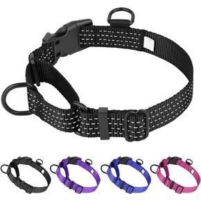 Martingale Dog Collars, Adjustable Reflective Nylon Dog Collar for Training Dogs, No Pull Dog Choker Collar for Medium Large Dogs (L, Hot Pink)