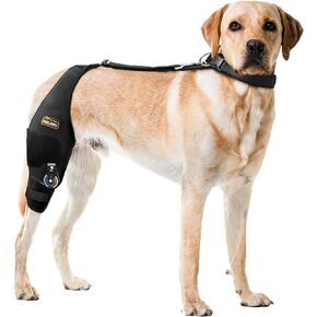CHAMIN/RISURRY Adjustable Dog Knee Brace with Extra Collar, Support for Torn Acl Hind Leg, Tear Ligament, Osteoarthritis,Rear Leg Limp, Recovery after surgery,et（Left Leg,XL）