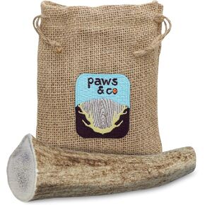 Paws & Co Small Whole Elk Antler Dog Chew | for Small Dogs | 5 Inch | Premium A Grade, Naturally Shed, Sustainable, Cruelty-Free | Promotes Dental Health | Aggressive Chewers in Saudi Arabia