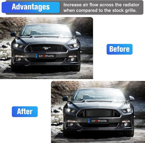 الشبكات وواقيات الشبكة - شبكة شبكة المصد الأمامي العلوي، متوافقة مع 15-17 موستانج GT EcoBoost، أسود in Kuwait