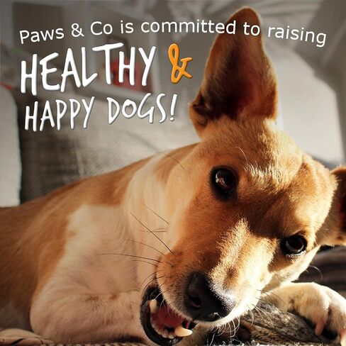Paws & Co Small Whole Elk Antler Dog Chew | for Small Dogs | 5 Inch | Premium A Grade, Naturally Shed, Sustainable, Cruelty-Free | Promotes Dental Health | Aggressive Chewers in Saudi Arabia