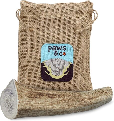 Paws & Co Small Whole Elk Antler Dog Chew | for Small Dogs | 5 Inch | Premium A Grade, Naturally Shed, Sustainable, Cruelty-Free | Promotes Dental Health | Aggressive Chewers in Saudi Arabia