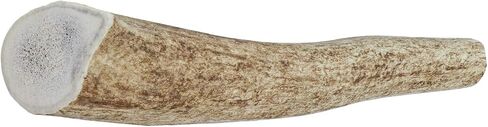 Paws & Co Small Whole Elk Antler Dog Chew | for Small Dogs | 5 Inch | Premium A Grade, Naturally Shed, Sustainable, Cruelty-Free | Promotes Dental Health | Aggressive Chewers in Saudi Arabia