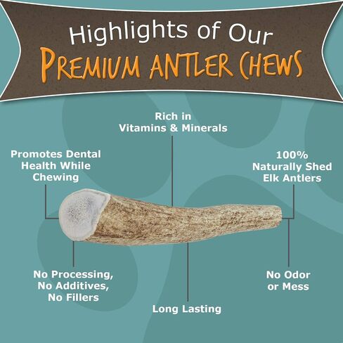 Paws & Co Small Whole Elk Antler Dog Chew | for Small Dogs | 5 Inch | Premium A Grade, Naturally Shed, Sustainable, Cruelty-Free | Promotes Dental Health | Aggressive Chewers in Saudi Arabia