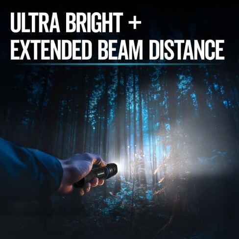 Energizer Rayovac T2000 Tactical LED Flashlights, 400 Lumens (3 Pack), Small Tactical Flashlights Ideal for Everyday Carry, Camping, Work, and Emergencies (Batteries not Included) in Kuwait