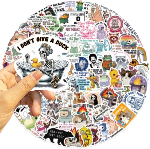 100PCS Funny Holographic Stickers Sarcastic Meme Stickers Waterproof Vinyl Decals for Laptop Water Bottle Skateboard Luggage Car Bumper for Kids Teens Girls Adults in Kuwait