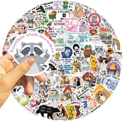 100PCS Funny Holographic Stickers Sarcastic Meme Stickers Waterproof Vinyl Decals for Laptop Water Bottle Skateboard Luggage Car Bumper for Kids Teens Girls Adults in Kuwait