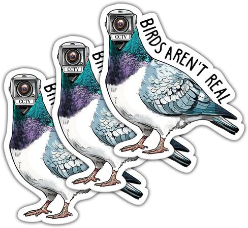 (3 Pcs) Birds aren't Real Sticker - Conspiracy Theory - Anti Government Surveillance Satirical - Funny CCTV Pigeon Sticker for Animal Lover - Area 51 Weird - Decal 3 Inch for Laptop Water Bottles in Kuwait
