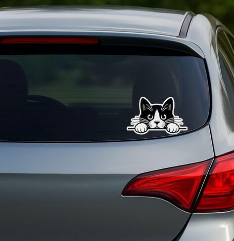 ملصقات Peeking Sneaky Cat - مجموعة من 2 | ملصقات فينيل مضحكة مقاومة للماء مقاس 5 بوصات لنوافذ السيارات وأجهزة الكمبيوتر المحمولة وأكواب اليتي والمبردات والجدران | ملصق نظرة خاطفة سوداء لمحبي القطط in Kuwait