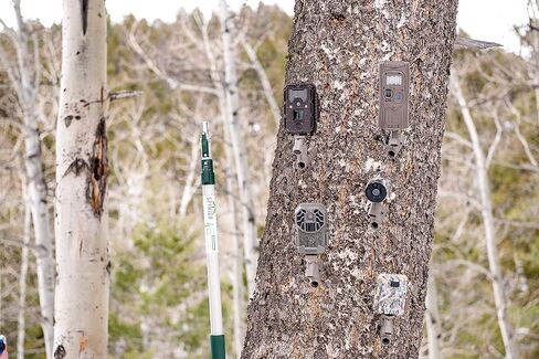 Trail Camera Mounting System Camera Mounts (5) in Kuwait