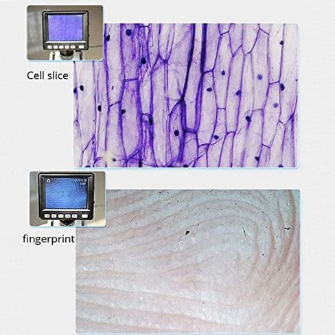 Microscope Kit LED Illuminated Industrial Stereomicroscopio, USB HD Electron Microscope Microscope Slides in Kuwait