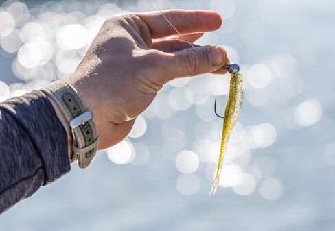 Strike King Mach Skooler Fishing Lure, Soft Plastic Jerkbait, Heavily Salted, Sleek Design, Erratic Action in Kuwait