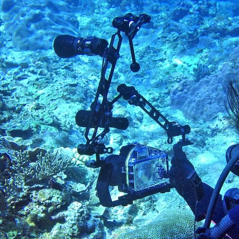 Sea frogs Aluminum Alloy Clamp Ball Joint Bracket Arm Two Section Holder Diving Essential Accessory Light Combination Fixed Clamp in Kuwait