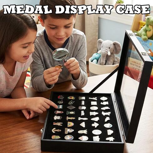 Wowagoga 11x8 Inch Dustproof Enamel Pin Display Case Shadow Box Frame with Hooks for Military Medal Jewelry Pin Badge Collection, Black in Saudi Arabia