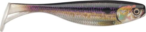 Storm Largo Shad 3.5 Live River Shad in Kuwait