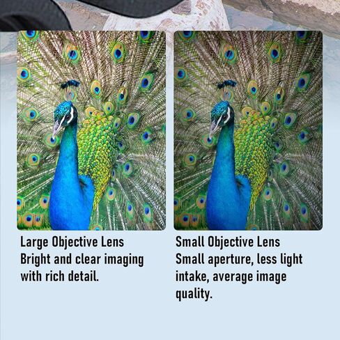 PUSOKEI 15x30 Compact Binoculars, High Powered Easy Focus Binoculars for Adults and Kids with Wide Field of View, for Bird Watching Travel Sightseeing in Kuwait