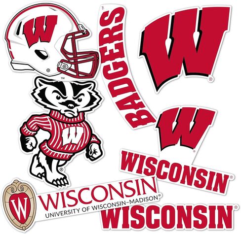Desert Cactus University of Wisconsin Sticker Badgers UW Madison Vinyl Decals Laptop Water Bottle Car Scrapbook T2 (Type 2-2) in Kuwait