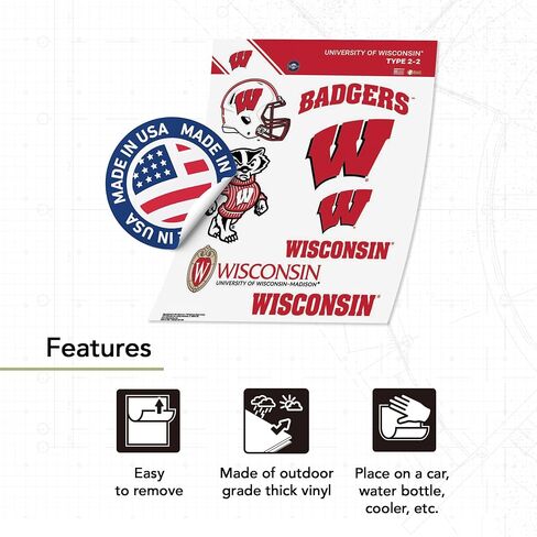 Desert Cactus University of Wisconsin Sticker Badgers UW Madison Vinyl Decals Laptop Water Bottle Car Scrapbook T2 (Type 2-2) in Kuwait