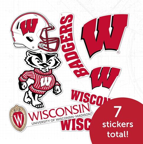 Desert Cactus University of Wisconsin Sticker Badgers UW Madison Vinyl Decals Laptop Water Bottle Car Scrapbook T2 (Type 2-2) in Kuwait