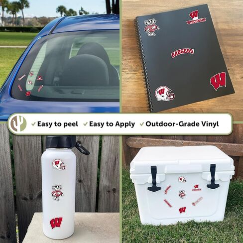 Desert Cactus University of Wisconsin Sticker Badgers UW Madison Vinyl Decals Laptop Water Bottle Car Scrapbook T2 (Type 2-2) in Kuwait