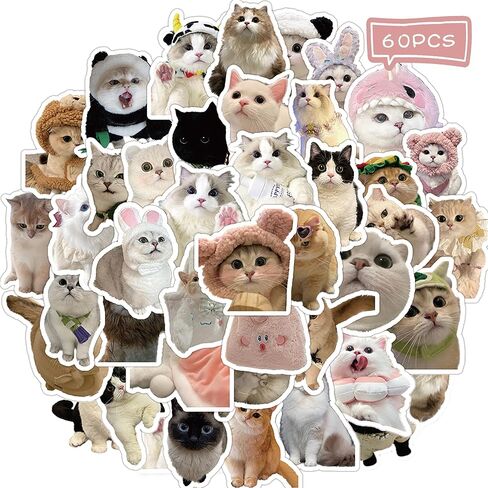60 PCS Cute Cat Stickers for Water Bottle, Kawaii Cats Meme Sticker for Kids Adults, Funny Meme Kitten Waterproof Vinyl Decals for Laptop Guitar Suitcase-A10 in Kuwait
