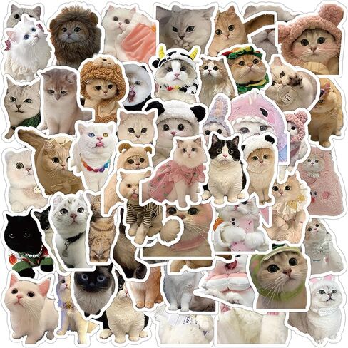 60 PCS Cute Cat Stickers for Water Bottle, Kawaii Cats Meme Sticker for Kids Adults, Funny Meme Kitten Waterproof Vinyl Decals for Laptop Guitar Suitcase-A10 in Kuwait