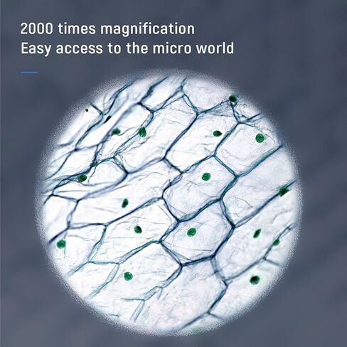 مجهر USB، مجهر رقمي 5 مل بكسل شاشة عدسة مزدوجة تدعم لوحة دوائر اللحام الإلكترونية تجربة تعلم للمبتدئين البالغين in Kuwait