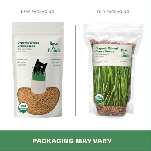 Organic Wheat Grass Seeds, Cat Grass Seeds - 16Ounces - 100% Organic Non-GMO - Hard Red Wheat, Harvested in The US. Easy to Grow Green in Saudi Arabia