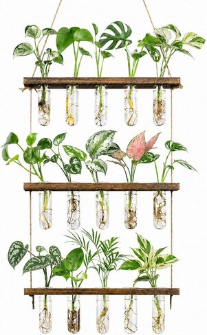 Monsiter QE 3 Tier Large Propagation Stations Wall Hanging Plant Terrarium with Wooden Stand, Retro Propagation Test Tube for Hydroponic Plants Cutting Flower, Propagator Home Office Patio Decor-Brown in Saudi Arabia